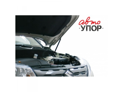 Амортизаторы капота Автоупор, Suzuki Vitara V - все, 2015-, крепеж в комплекте, сталь
