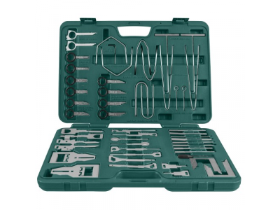 Набор съемников для демонтажа радиоаппаратуры, 52 предмета., AR060043 JONNESWAY от JONNESWAY Набор съемников для демонтажа радиоаппаратуры, 52 предмета., AR060043 JONNESWAY