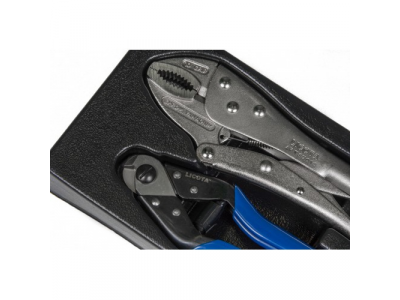 Набор: ручные тиски-струбцина и кабелерез. 2пр., в ложементе от LICOTA Набор: ручные тиски-струбцина и кабелерез. 2пр., в ложементе