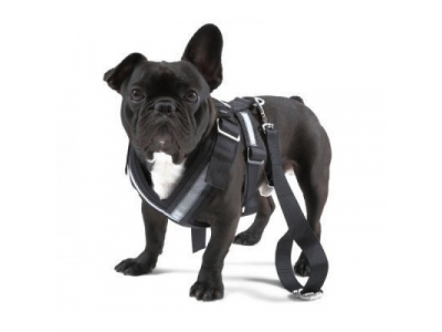 Ремень безопасности для собаки Skoda Dog Safety Belt, размер L
