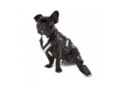 Ремень безопасности для собаки Skoda Dog Safety Belt, размер L