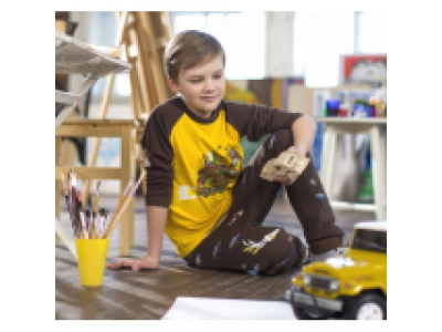 Детский логнслив реглан Toyota Kids Longsleeve Shirt, Yellow-Brown, артикул TMDR20B128