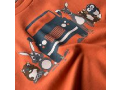 Футболка для мальчиков Land Rover Boys Graphic T-shirt, Orange от Land Rover Футболка для мальчиков Land Rover Boys Graphic T-shirt, Orange