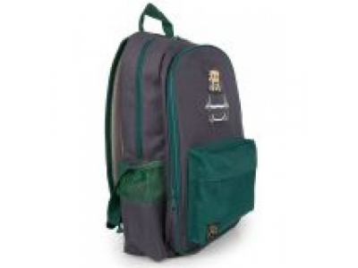 Детский рюкзак Jaguar Kids Backpack, Grey/Green, артикул JDBC831GYA
