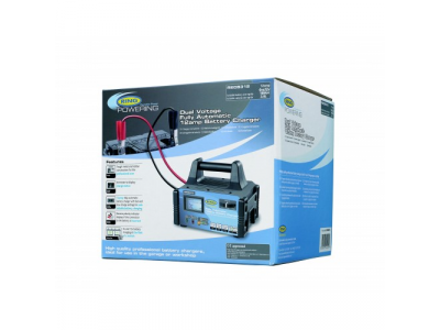 Пуско-зарядное устройство RING RECB312 от RING Пуско-зарядное устройство RING RECB312