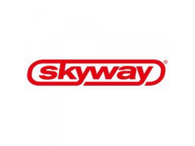 Лампа автомобильная Skyway Sj-1610ab 41mm от SKYWAY Лампа автомобильная Skyway Sj-1610ab 41mm